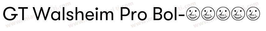 GT Walsheim Pro Bol字体转换